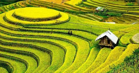 Hotspot Matrix và Hết Hà Tăng, tới dàn